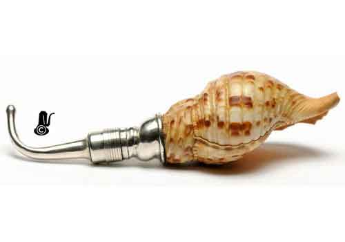 image link to details of ear trumpet