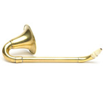overall view of ear trumpet