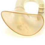 horn view of ear trumpet