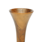 horn view of ear trumpet