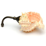 detail view of ear trumpet