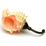 overall view of ear trumpet