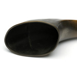 horn view of ear trumpet