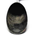 horn view of ear trumpet