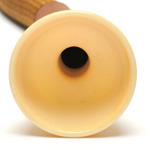 horn view of ear trumpet