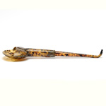 overall view of ear trumpet