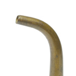 earpiece view of ear trumpet