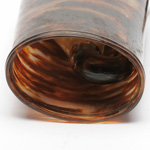 horn view of ear trumpet