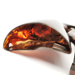 horn view of ear trumpet
