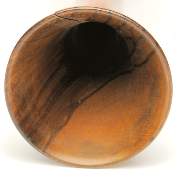 picture shows stethoscope ear trumpet @ EarTrumpets.com