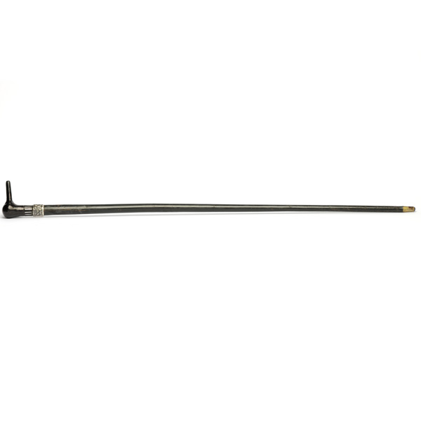picture shows walking stick ear trumpet @ EarTrumpets.com