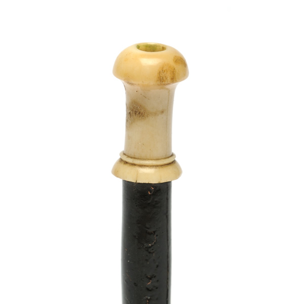 picture shows walking stick ear trumpet @ EarTrumpets.com