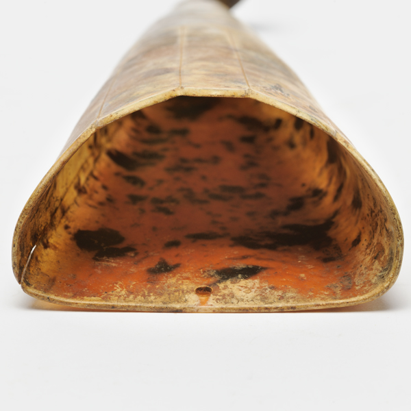 picture shows tragus ear trumpet @ EarTrumpets.com