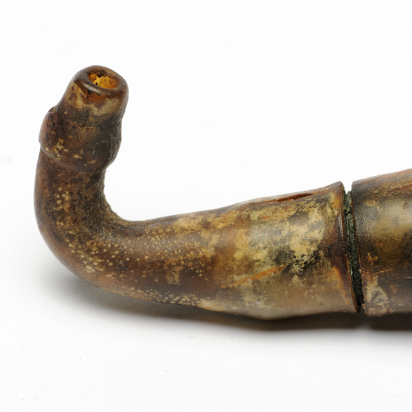 picture shows tragus ear trumpet @ EarTrumpets.com